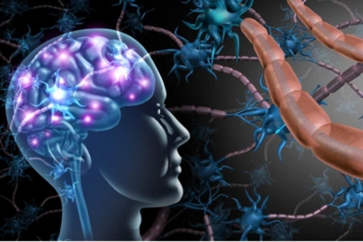 Neurological Disorders