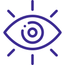 Vision